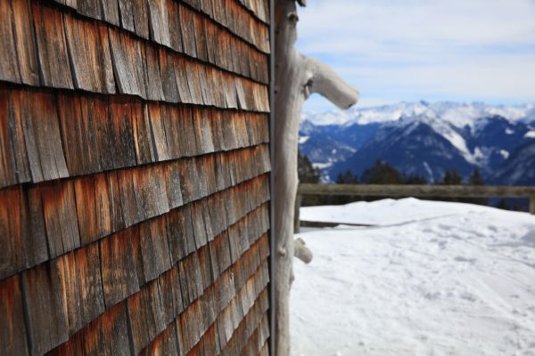 Cost of Cedar Siding Repair in Lynnwood