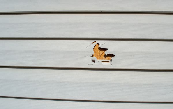 Cost of Siding Hole Patching in Lynnwood