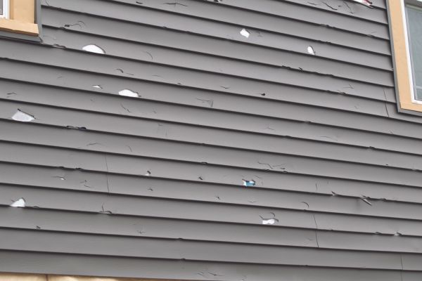 Cost of Damaged Siding Replacement in Lynnwood