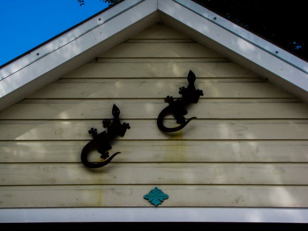 Cost of Shiplap Siding Installation in Lynnwood