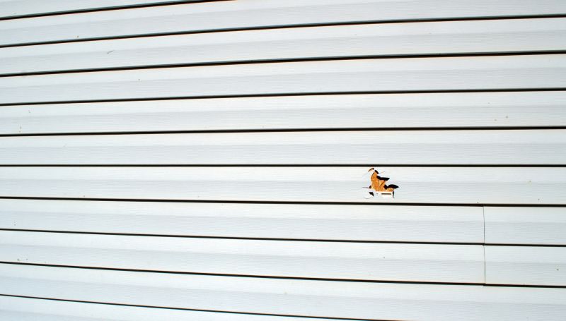 Removing Damaged Vinyl Panels